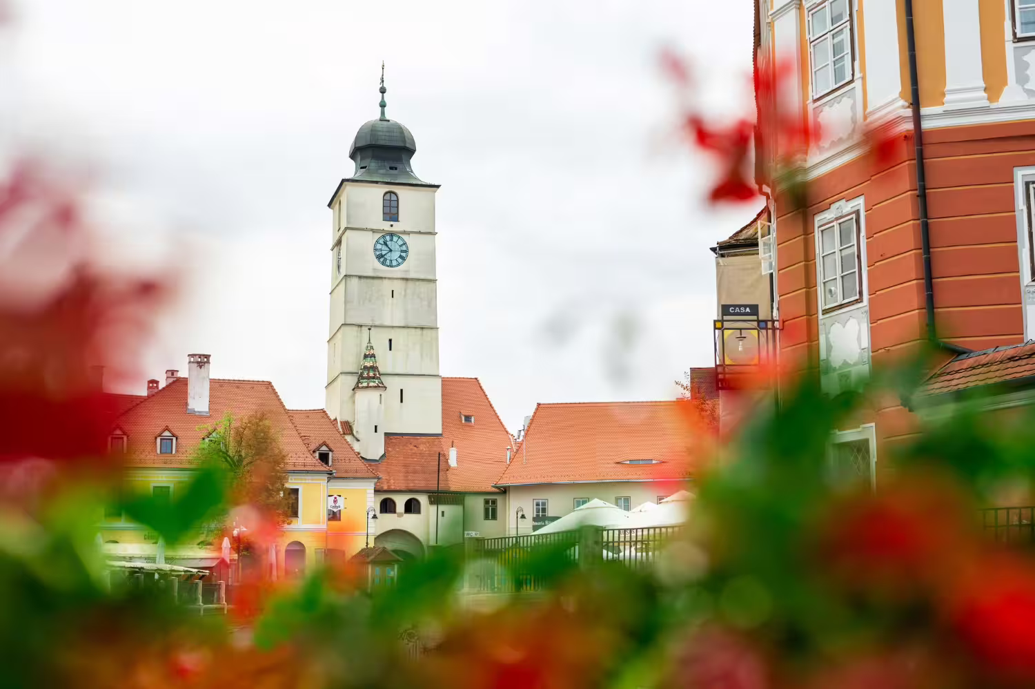 Korzyści z agroturystyki – Dlaczego warto wybrać wieś - 1