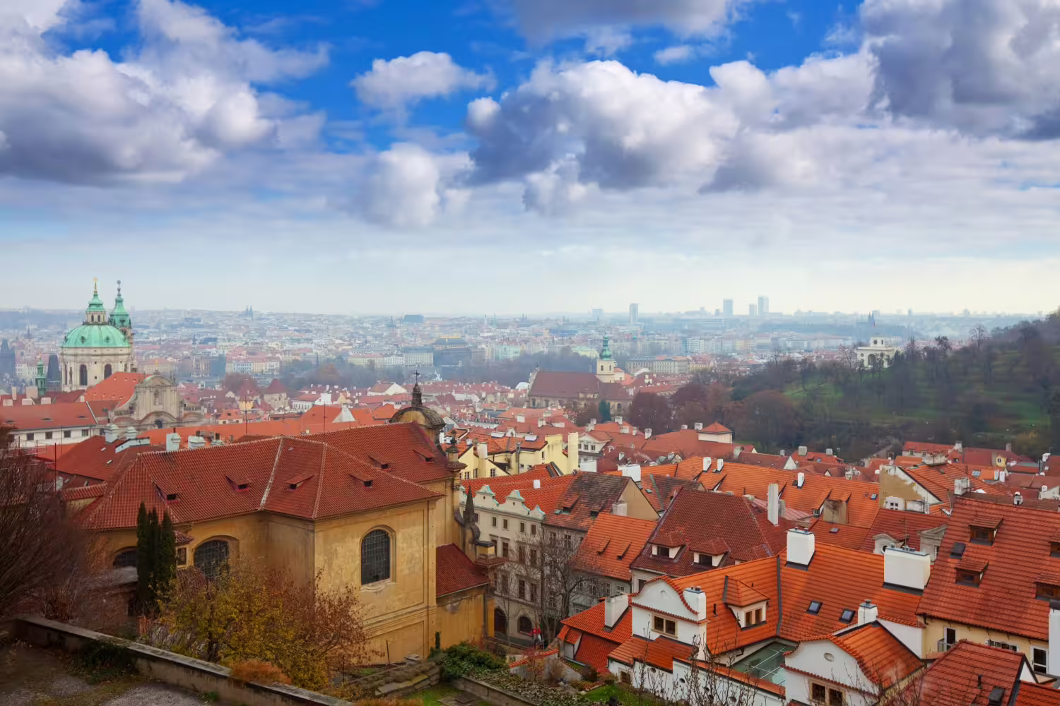 Ptasie Sioło — Radomsko czy Jedlińsk? Porównanie - 2
